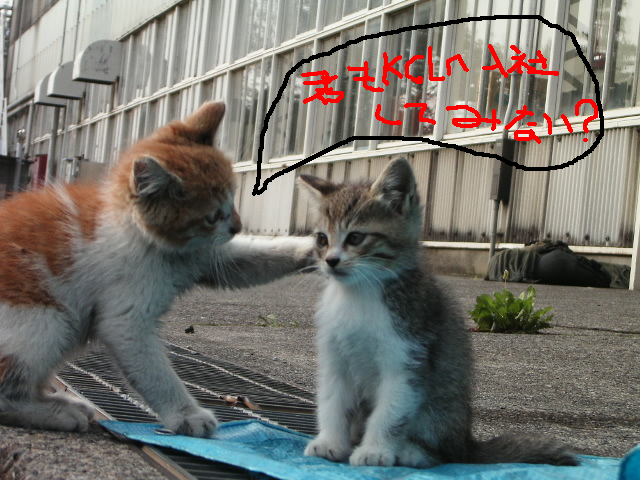 君もどーだい?2.bmp